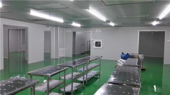專業(yè)無塵實(shí)驗(yàn)室建設(shè)專家 無錫谷能凈化與石家莊無塵實(shí)驗(yàn)室安裝服務(wù)詳解